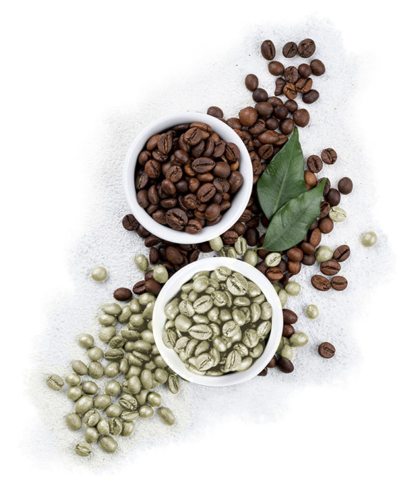 Coffee Supermarket Speciality Coffee